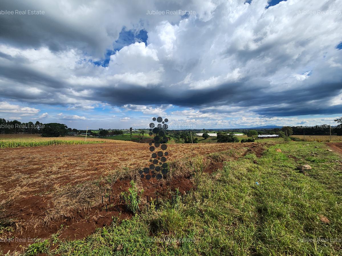 Land in Tigoni - 5