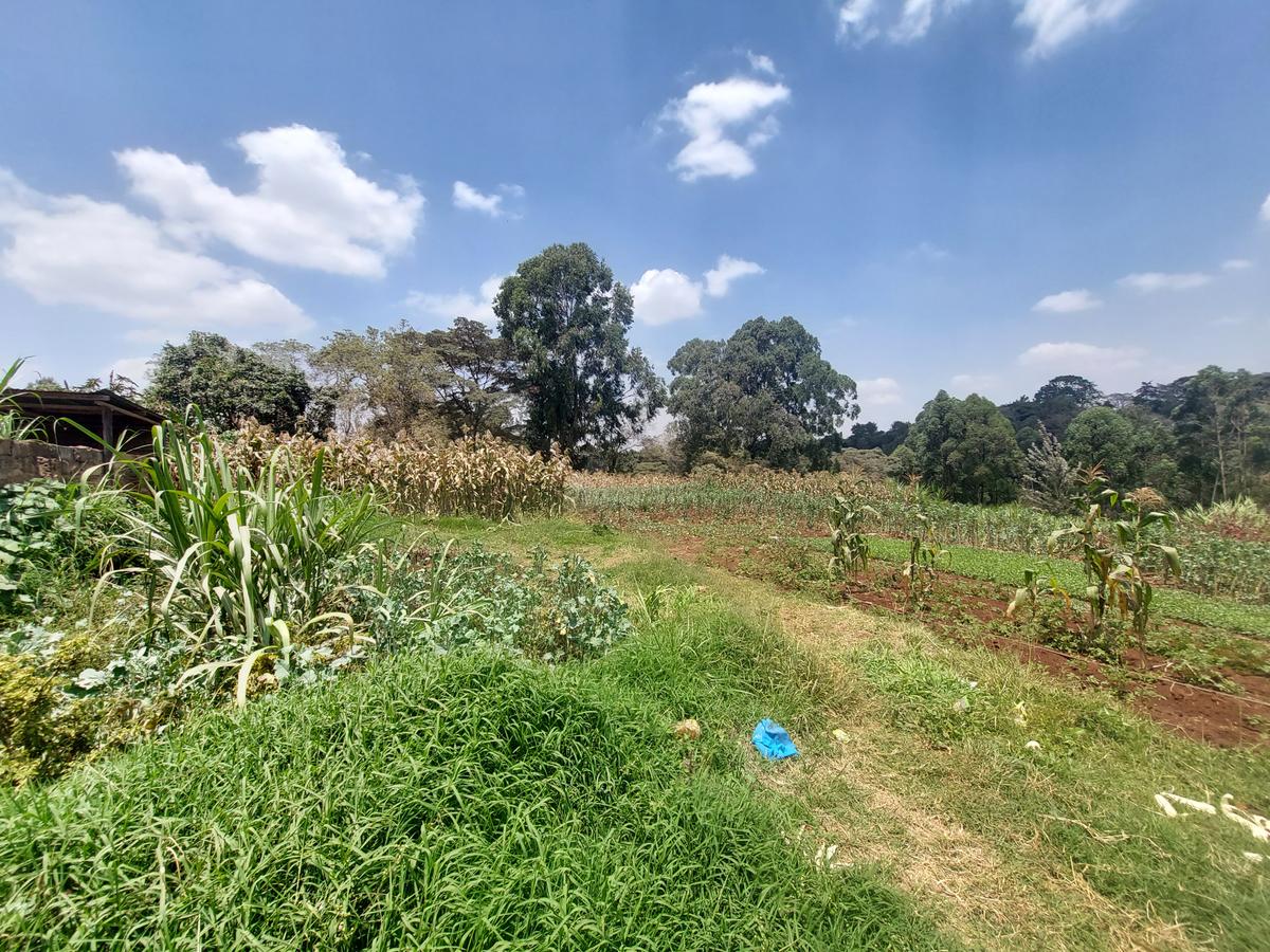 Residential Land at Kinanda Road - 13