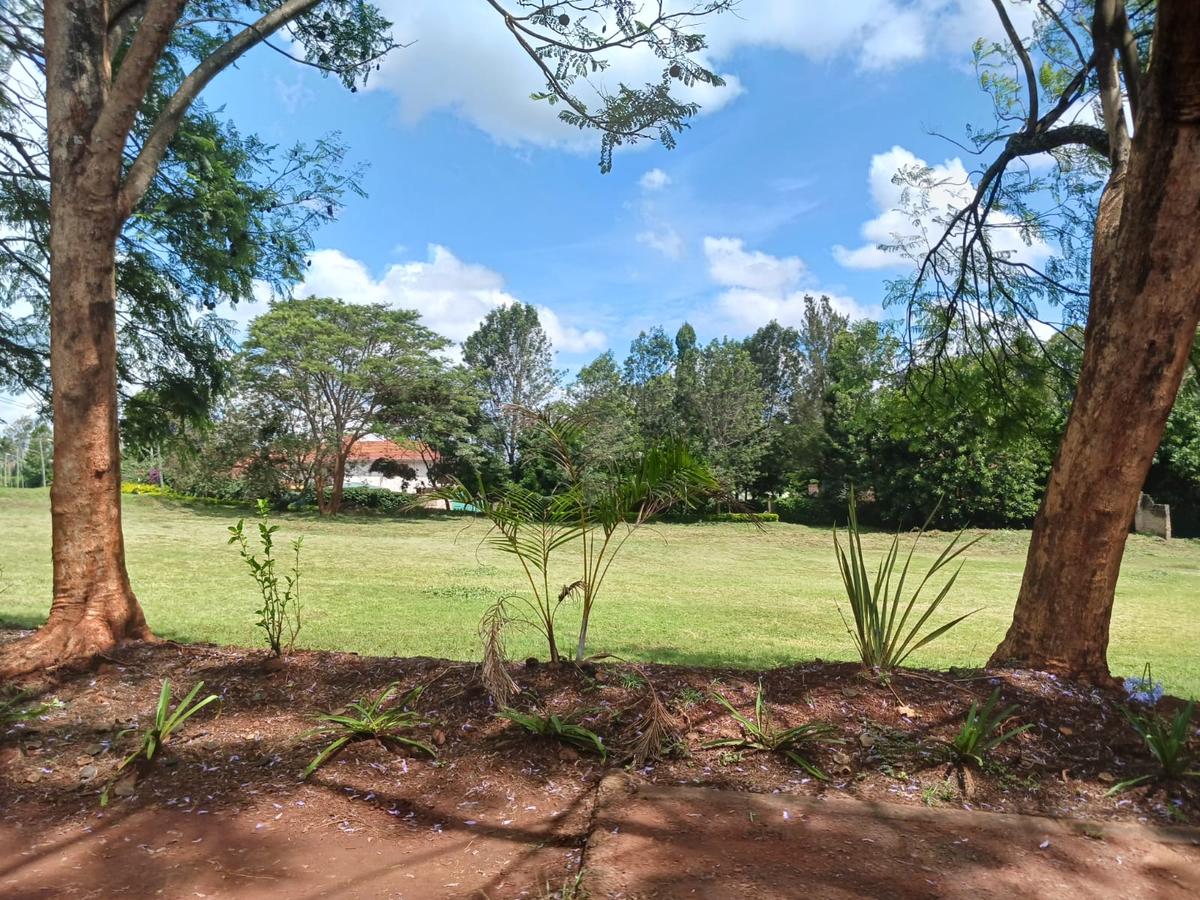 2.25 ac Land at Kitisuru - 15