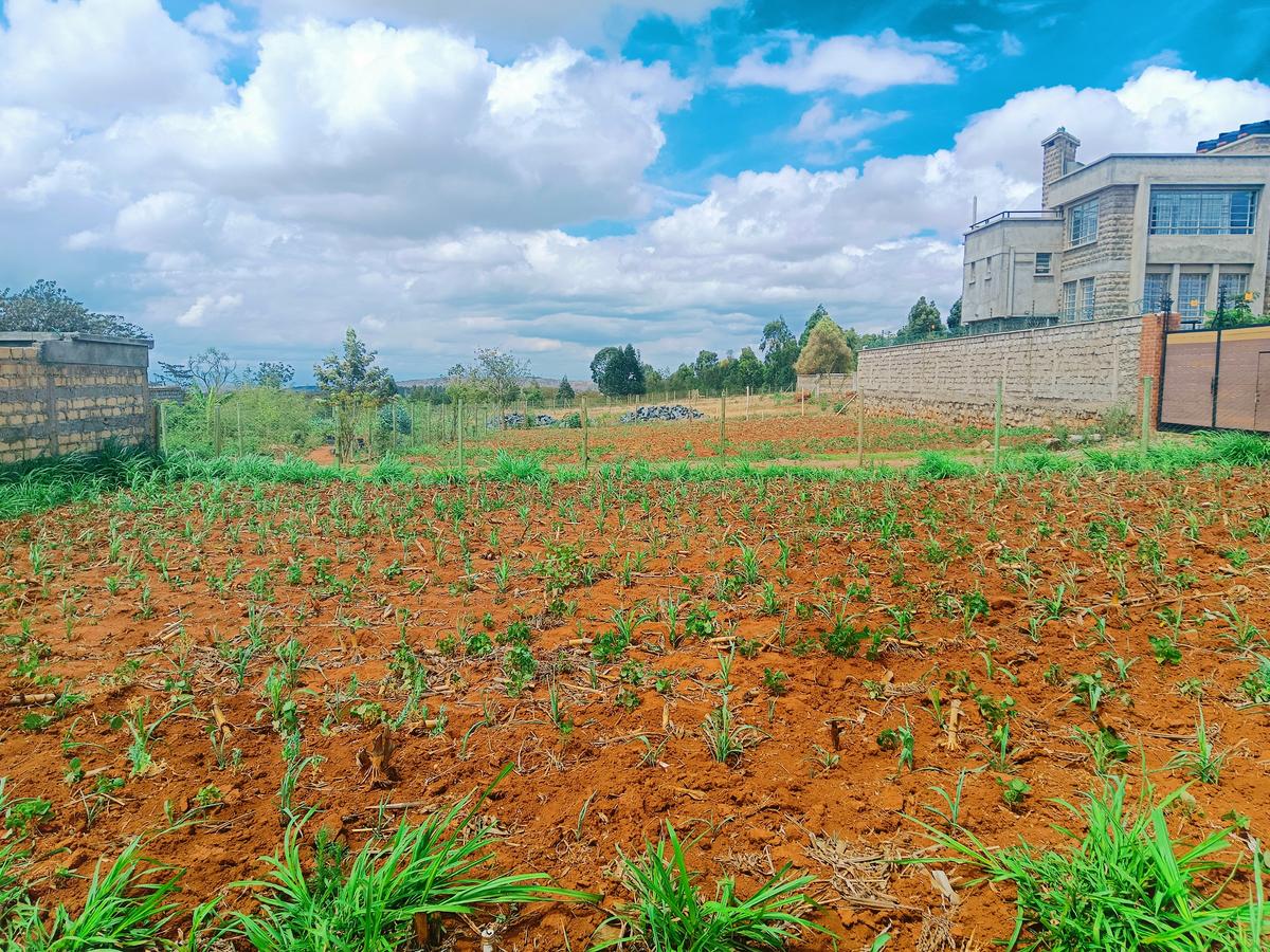 500 m² Residential Land at Nairobi Ndogo Estate - 4