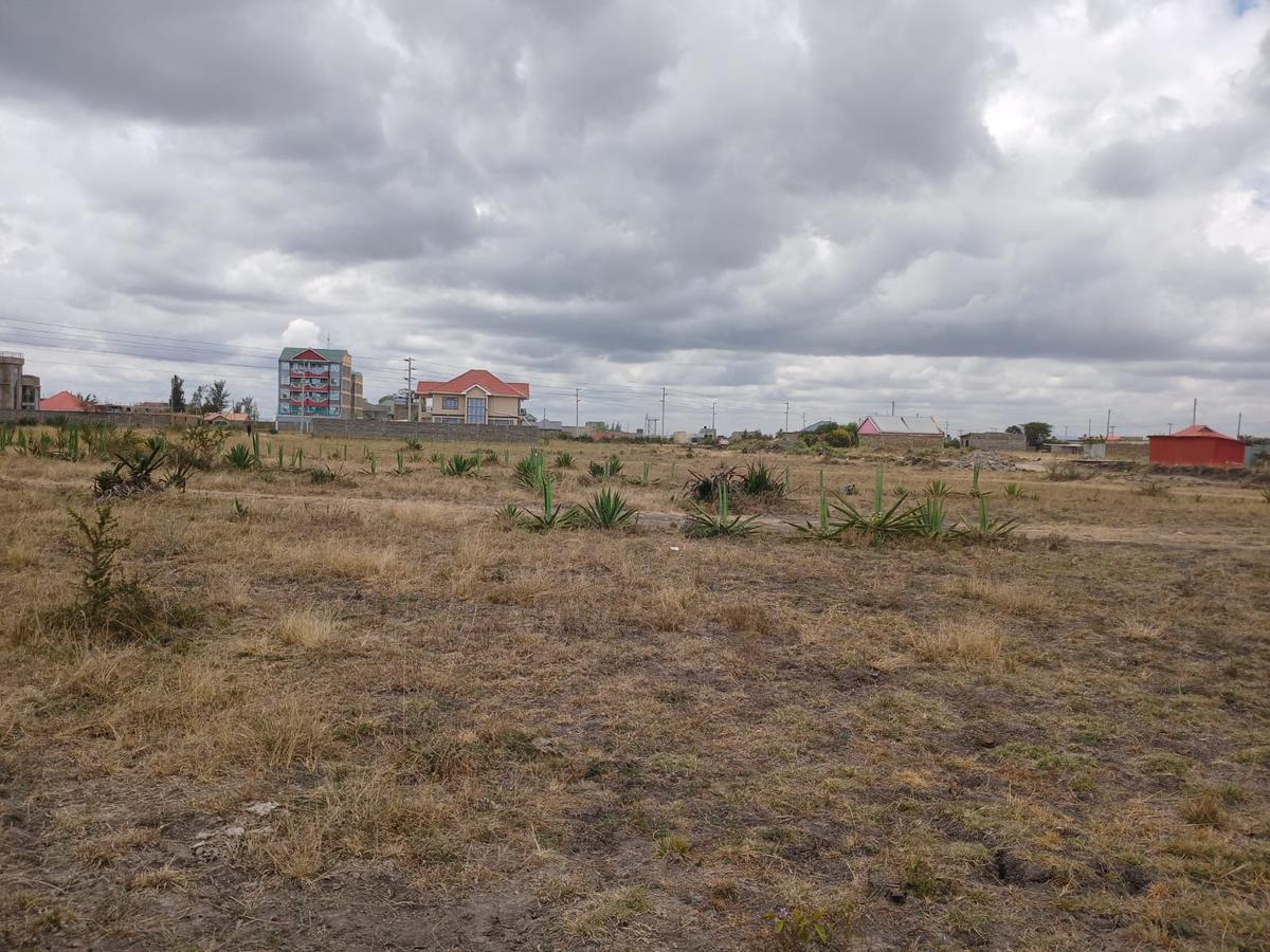 0.125 ac Residential Land at Mastore - 3