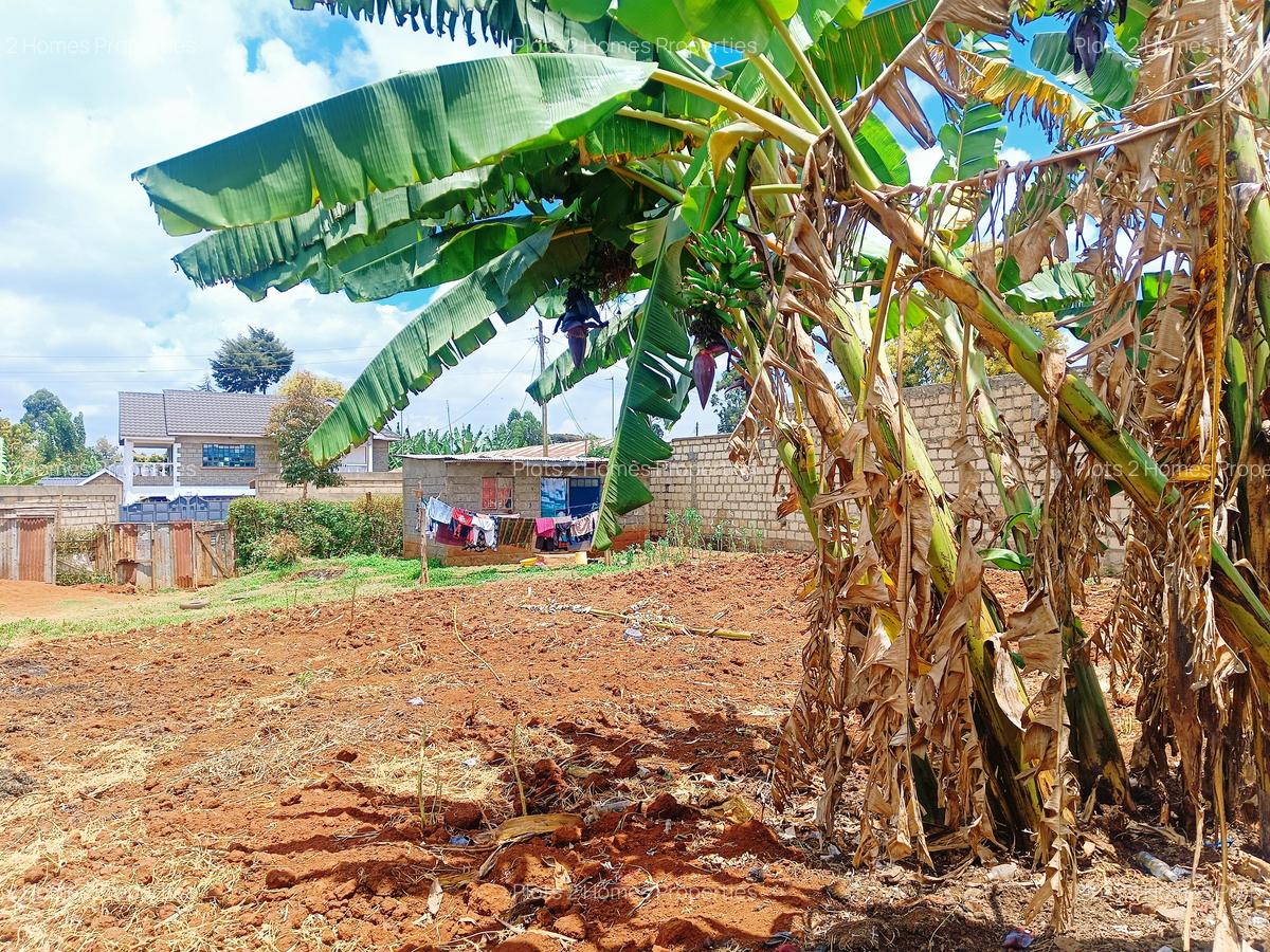 500 m² Residential Land at Musa Gitau - 6