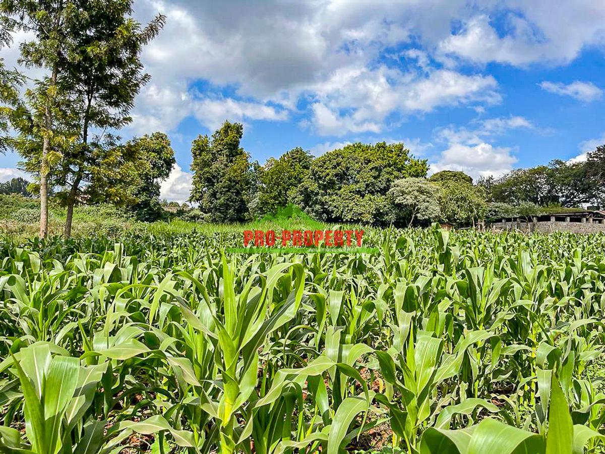 7.5 ac Land in Kikuyu Town - 5