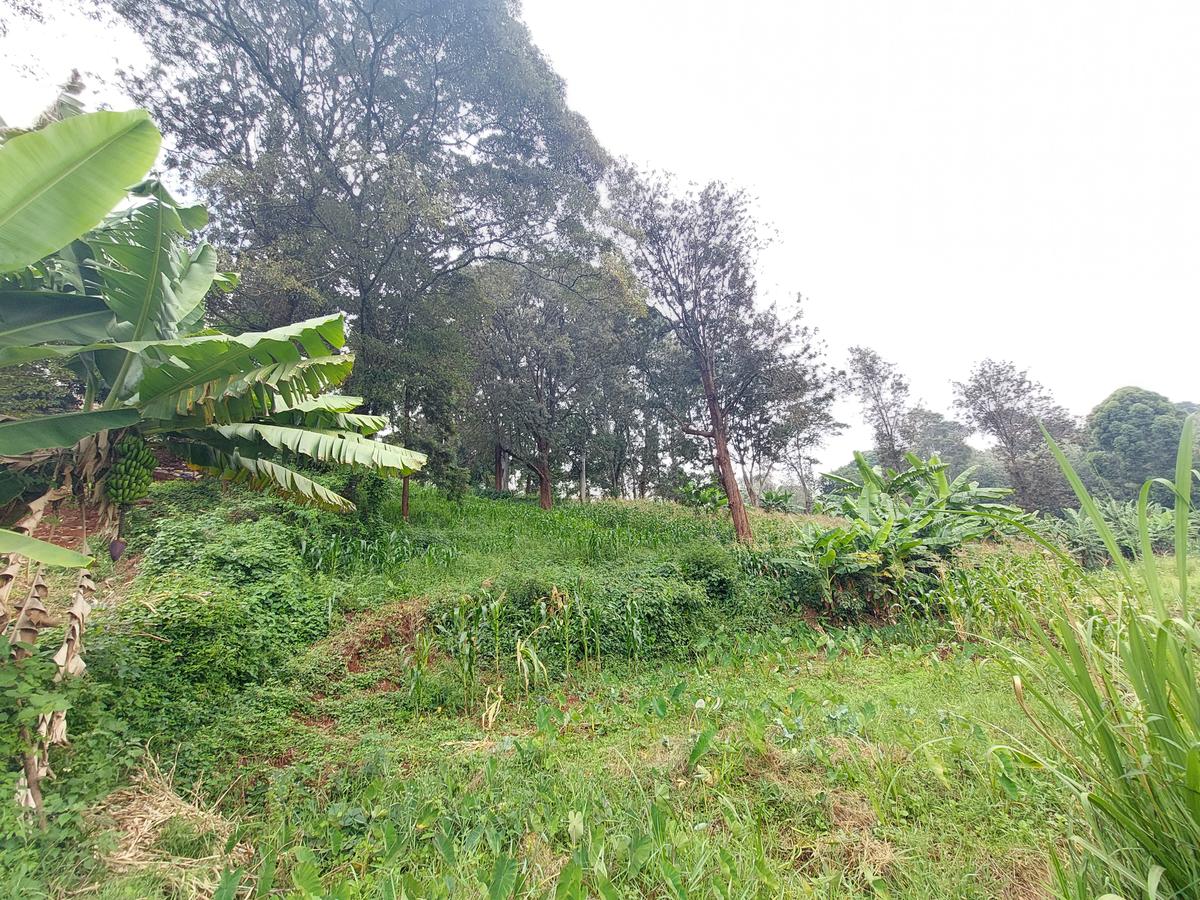 Residential Land at Kitisuru Ridge 44 - 3