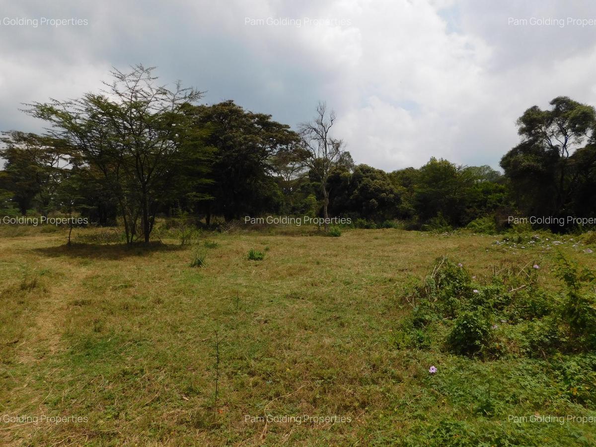 9 ac Land in Karen - 8
