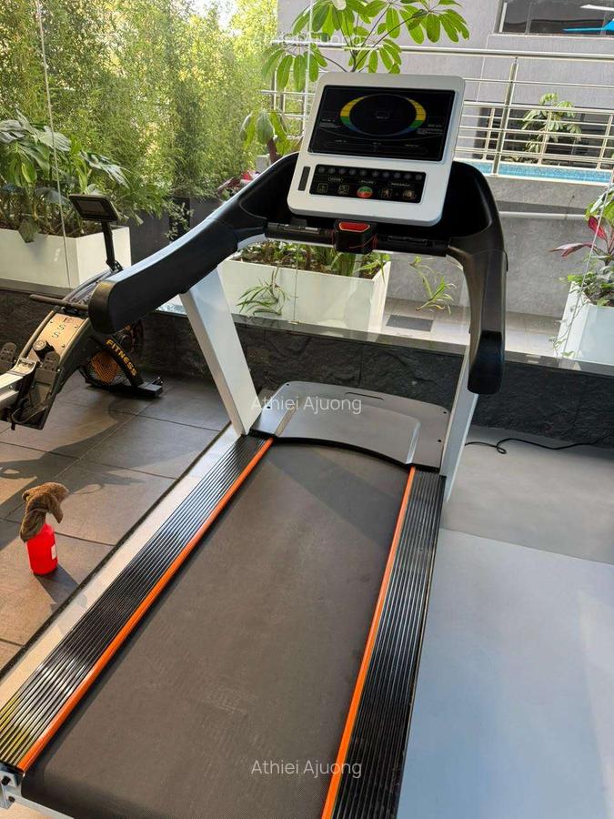 Furnished 2 Bed Apartment with En Suite at Mararo Road - 11