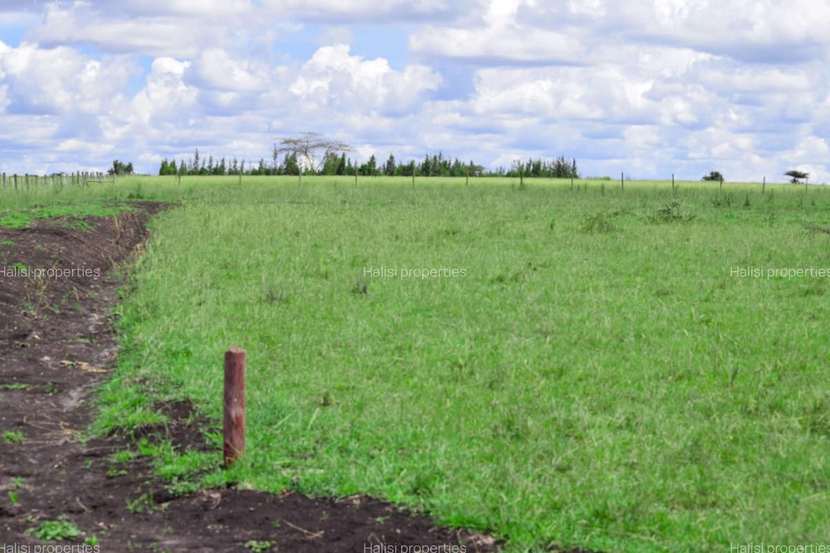Residential Land at Plots For Sale In Kitengela Saitoti Farm/Ostrich Farm - 2