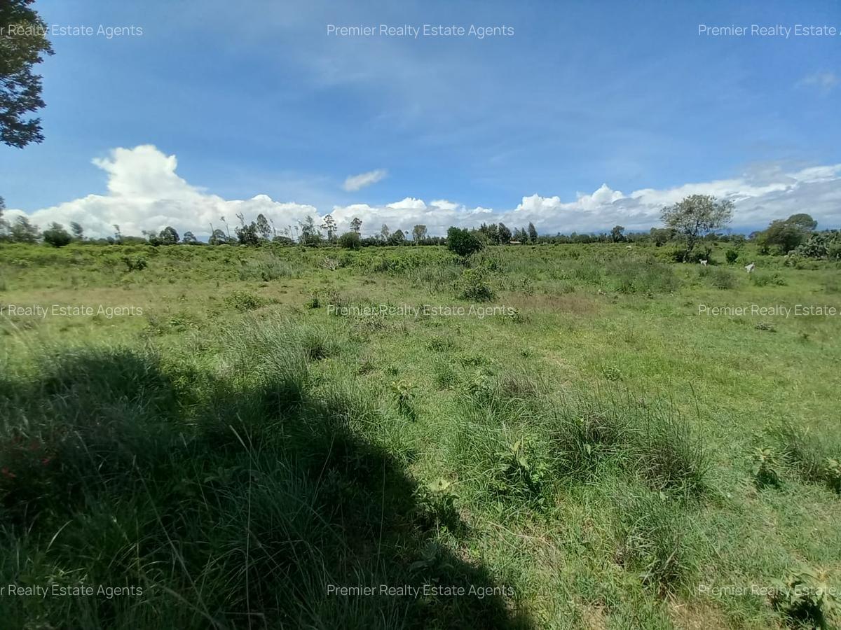5 ac Residential Land at Nanyuki - 2