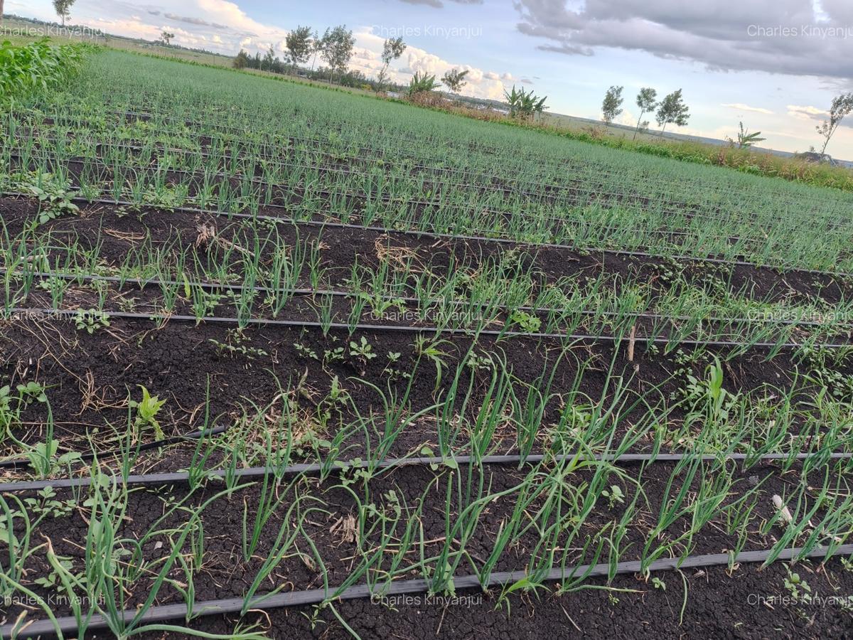 10.75 ac Land at Kisaju - 8