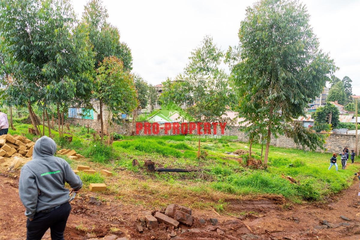 0.1 ha Commercial Land at Zambezi - 5