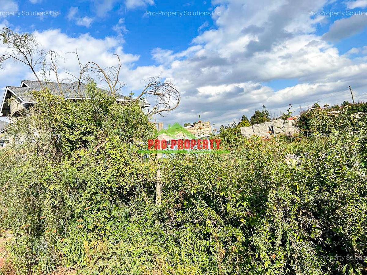 0.05 ha Residential Land in Kamangu - 7