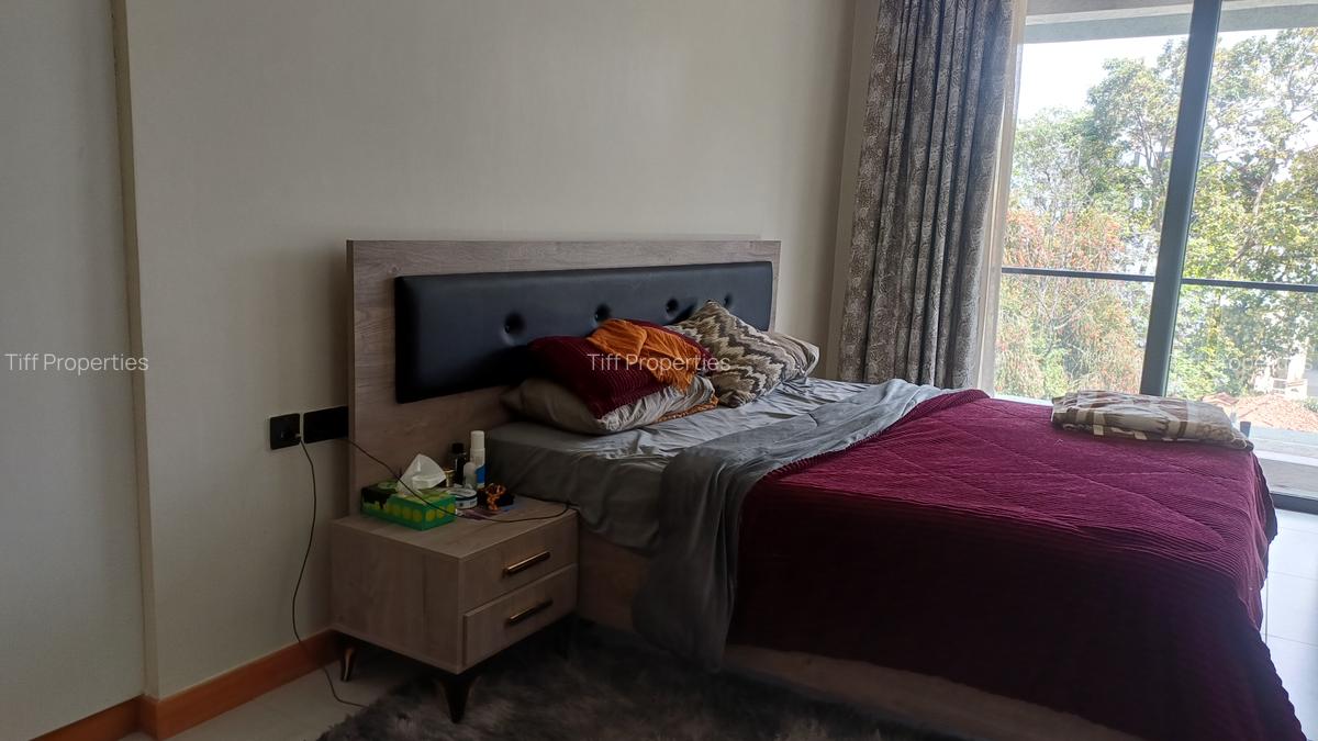 3 Bed Apartment in Spring Valley - 9