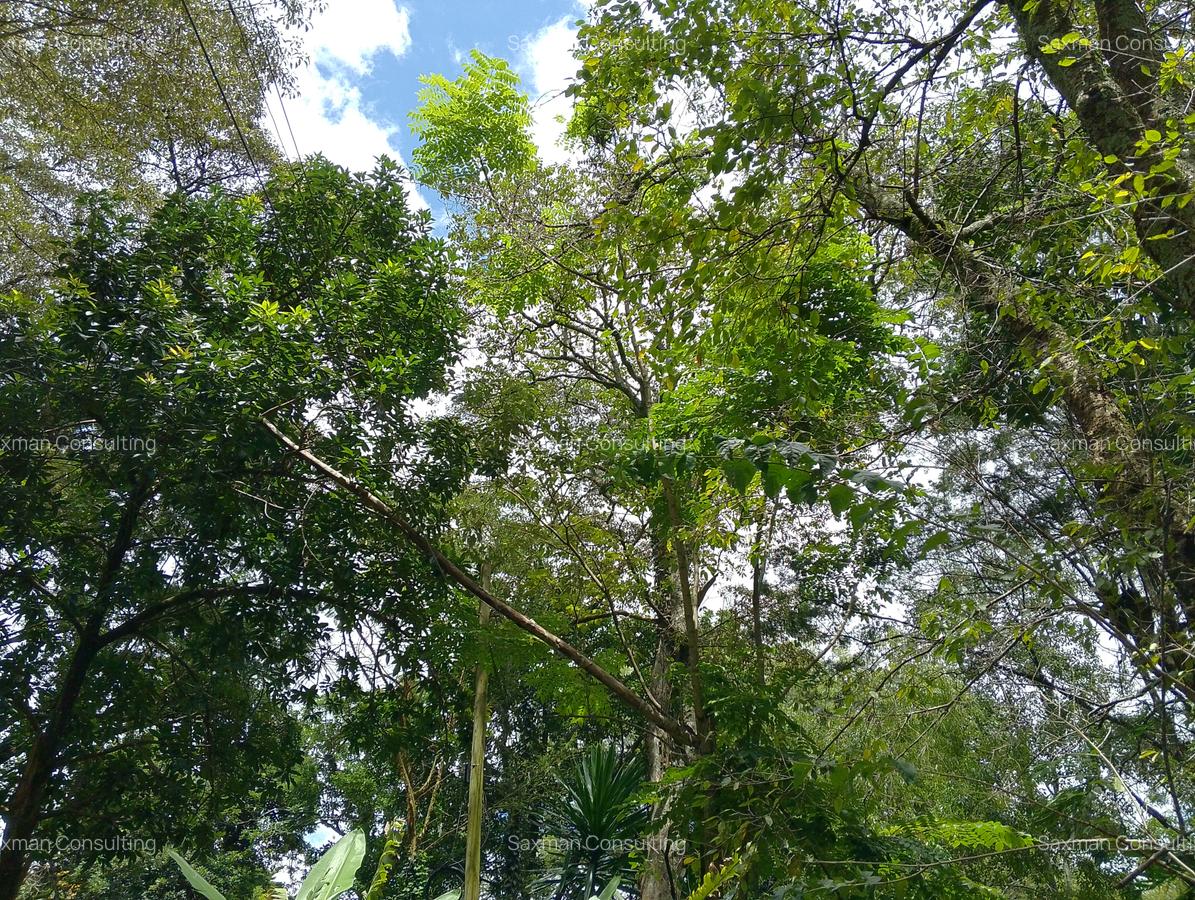 Land in Muthaiga - 2