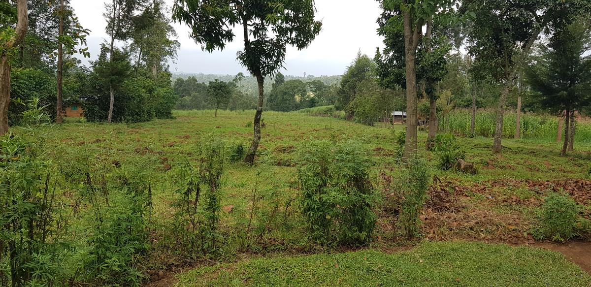 Residential Land at Mokoyot Close - 6