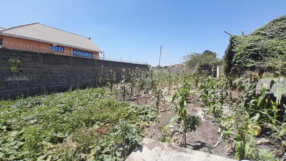 4 Bed House with En Suite at Rimpa - 17