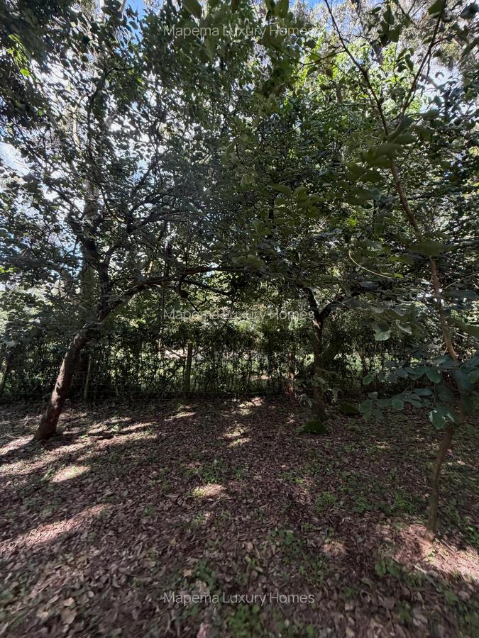 Residential Land at Bomas Of Kenya - 5