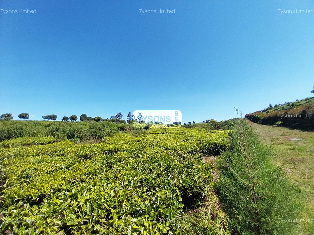 8 ac Land in Tigoni - 2