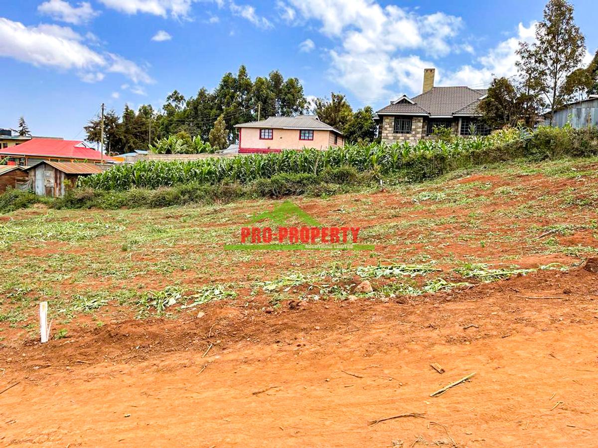 0.05 ha Residential Land at Ondiri - 8