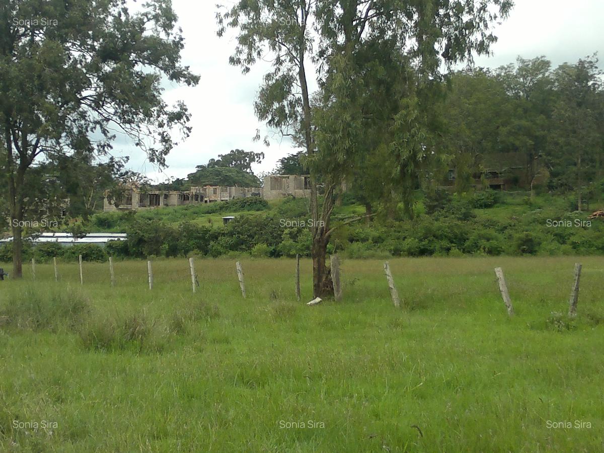 1 ac Residential Land in Karen - 1