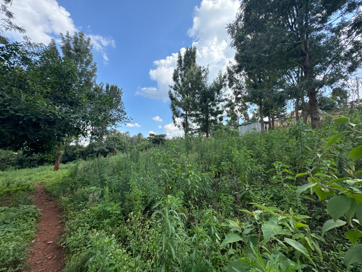 0.5 ac Land in Ngong - 8