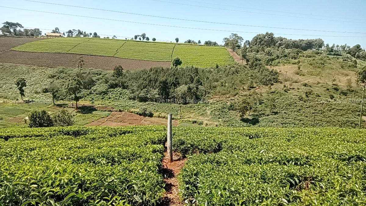 Residential Land in Tigoni - 3