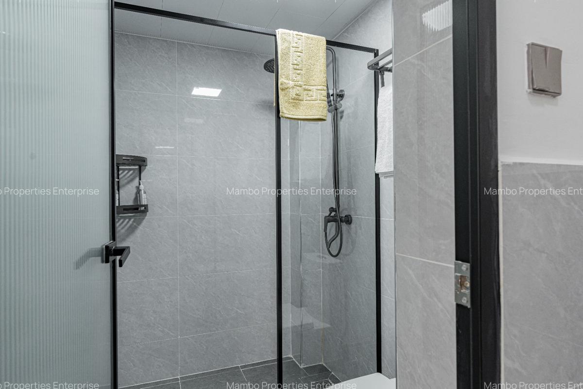 Serviced 1 Bed Apartment with En Suite at David Osieli - 8