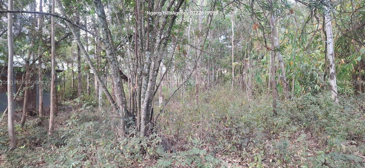 Commercial Land at Embulbul - 3