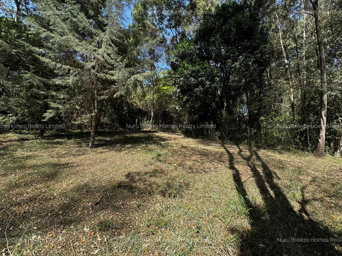 2.7 ac Land in Karen - 12