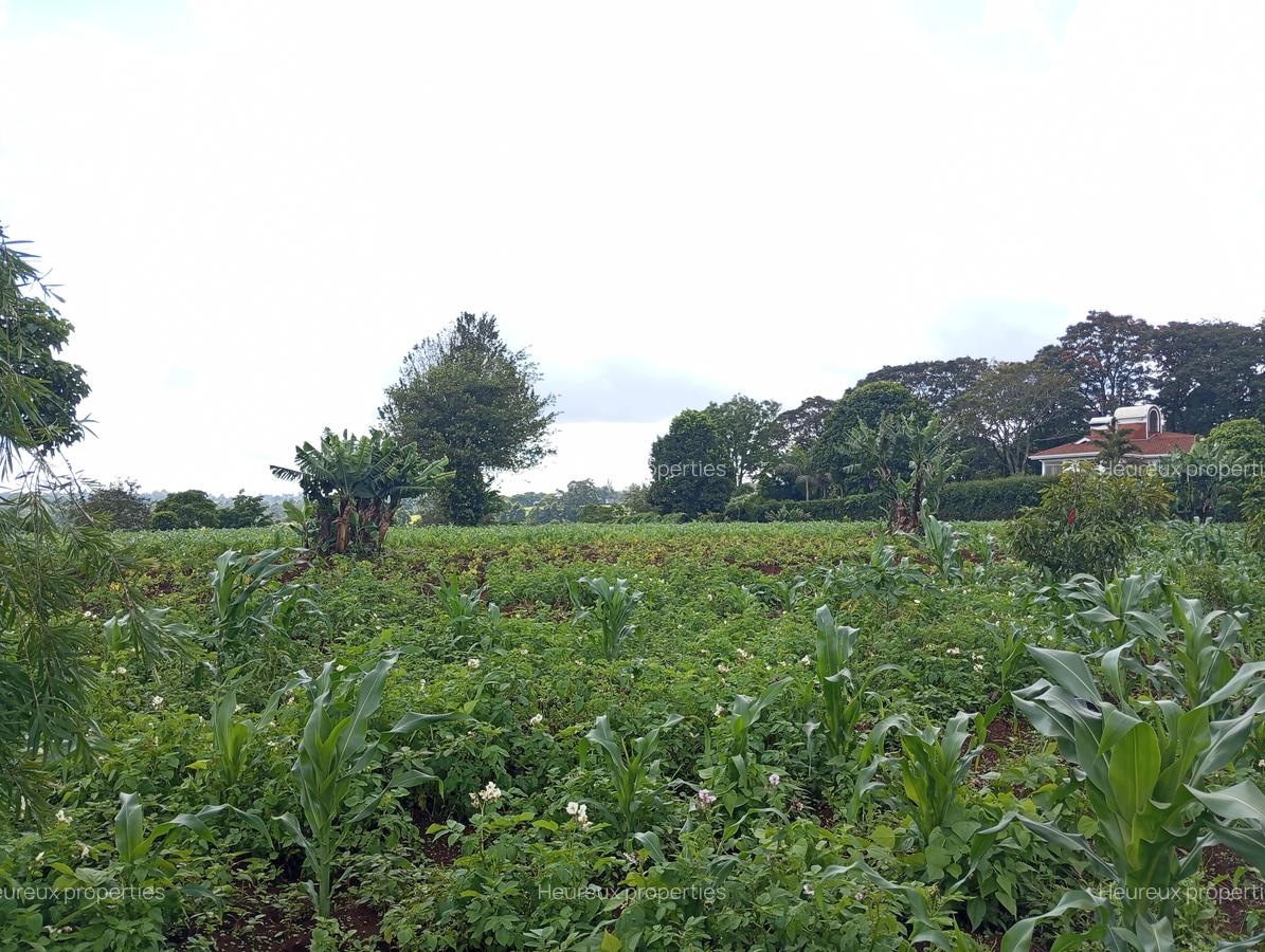 Residential Land at Tigoni - 1