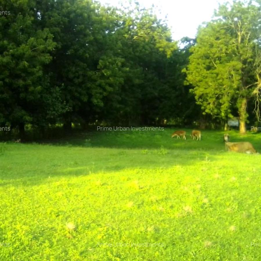 73.6 ac Land in Vipingo - 6