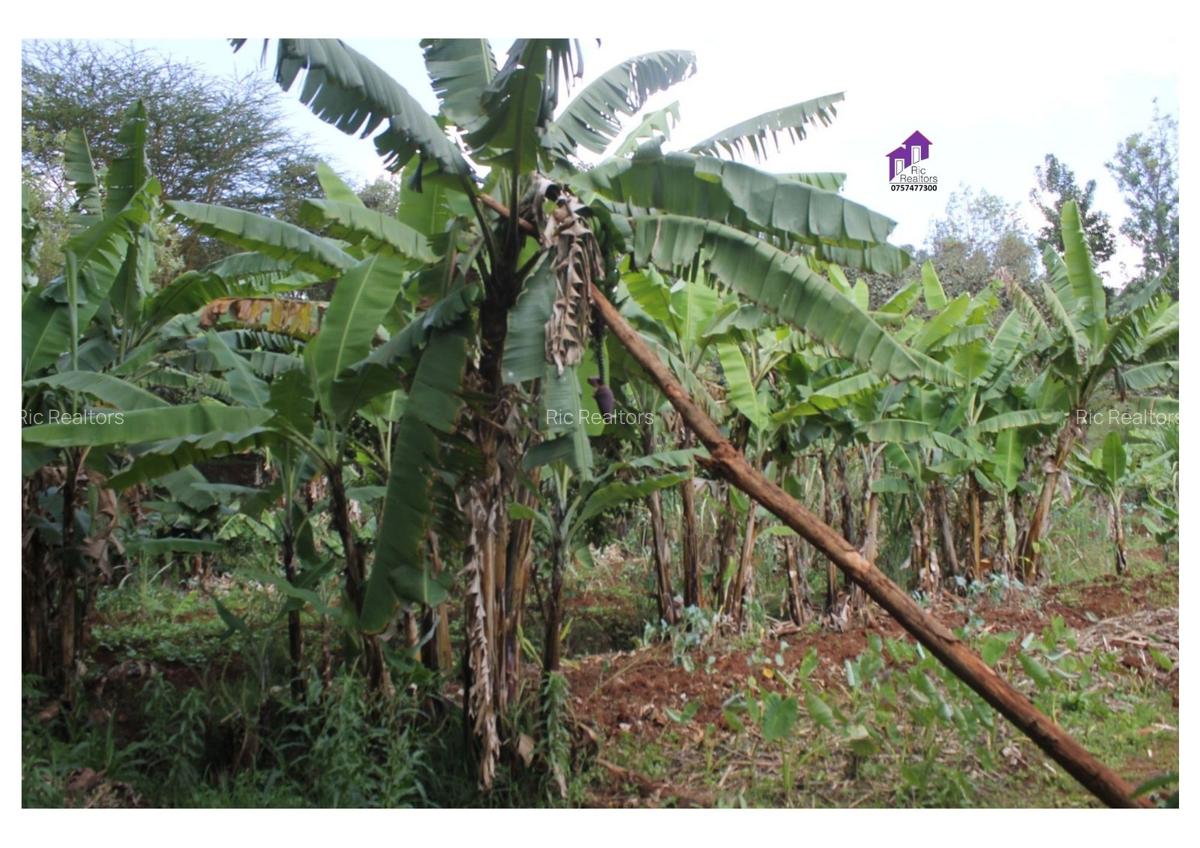 3.5 ac Land at Karinde Road - 11