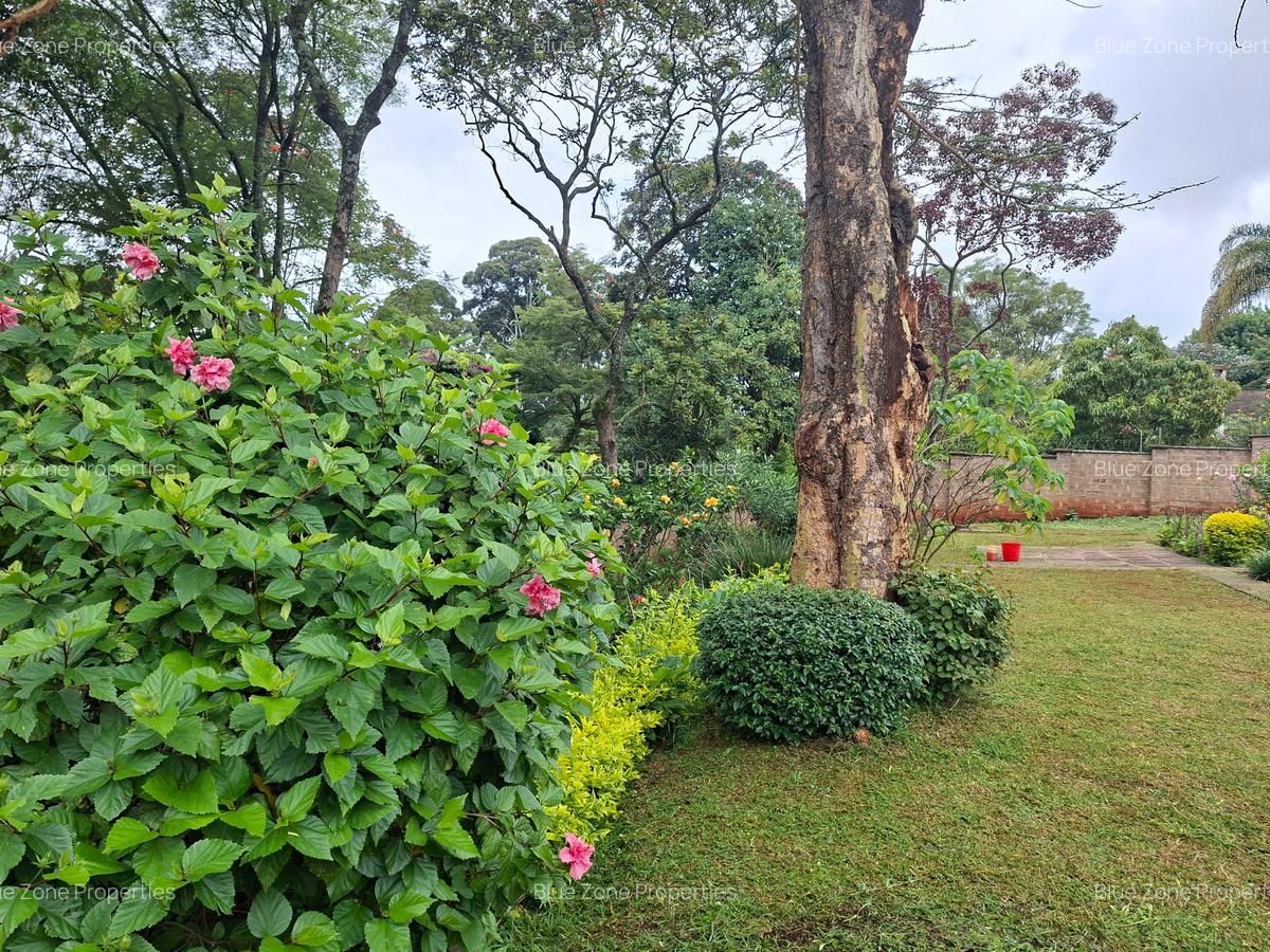 4 Bed House with En Suite at Off Ruaka Rd - 2