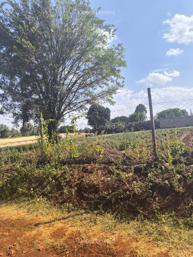 Land at Muhuri Road - 7