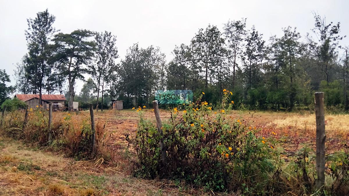 Commercial Land in Murang'a County - 5