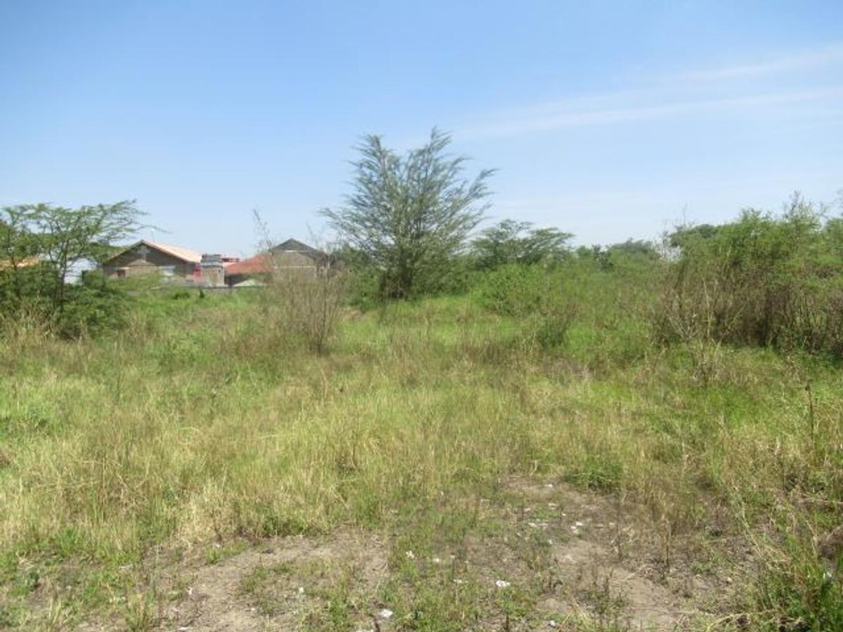 23,796 m² Commercial Land at Nyasa Road - 12