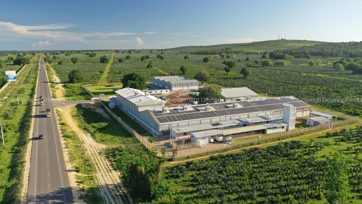 Commercial Land at Vipingo - 5
