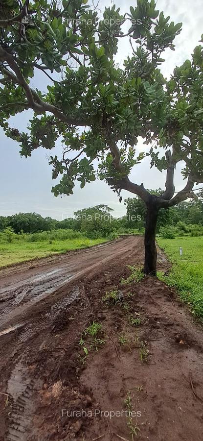 Land in Vipingo - 4