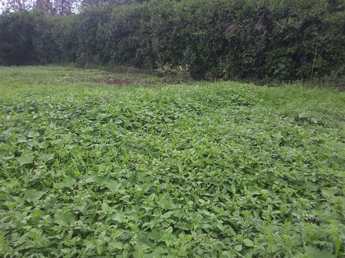 0.1 ha Residential Land in Ngong - 5