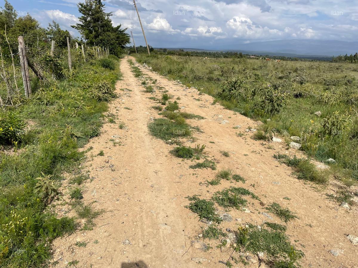 0.5 ac Land in Nanyuki - 7