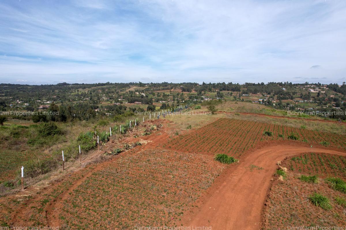 0.05 ha Residential Land at Thigio - 16