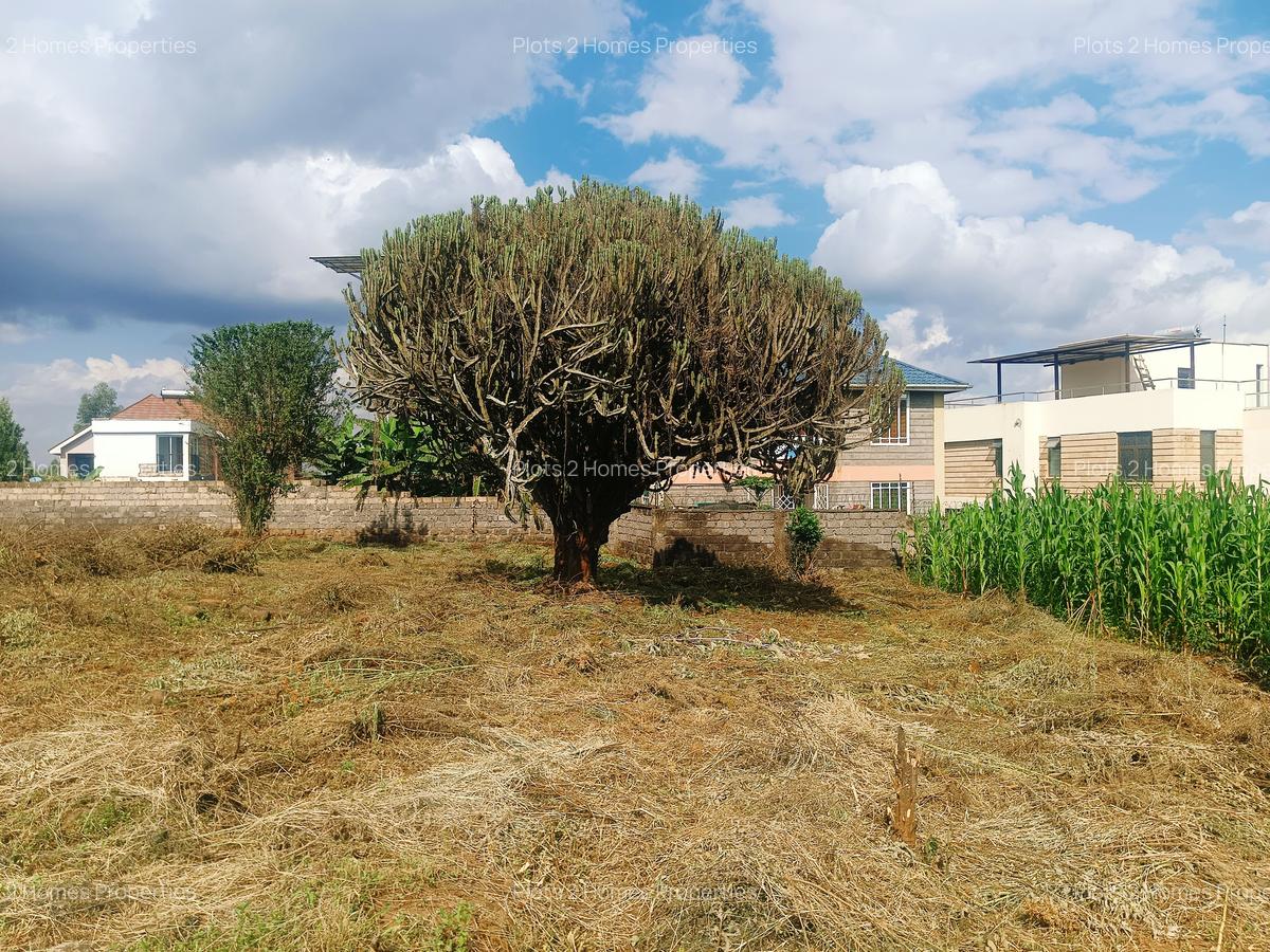 1,000 m² Residential Land at Riu-Nderi - 2