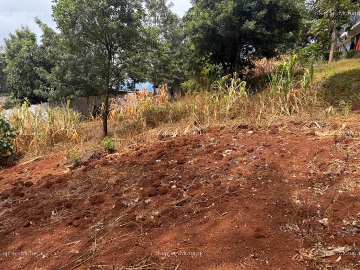 0.25 ac Land in Nyeri - 14