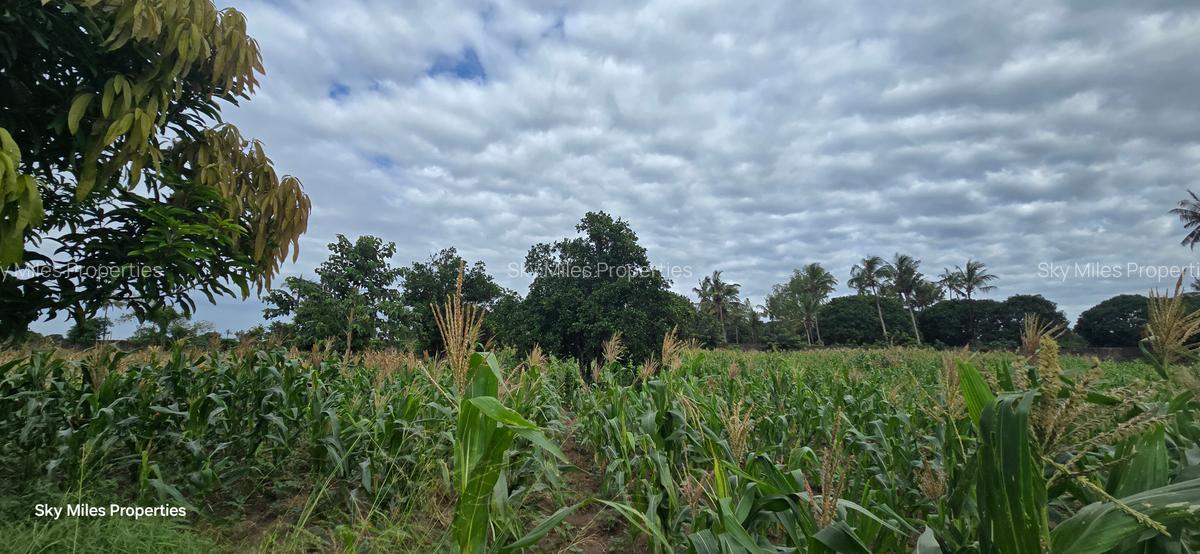 6 ac Land at Bomani - 12