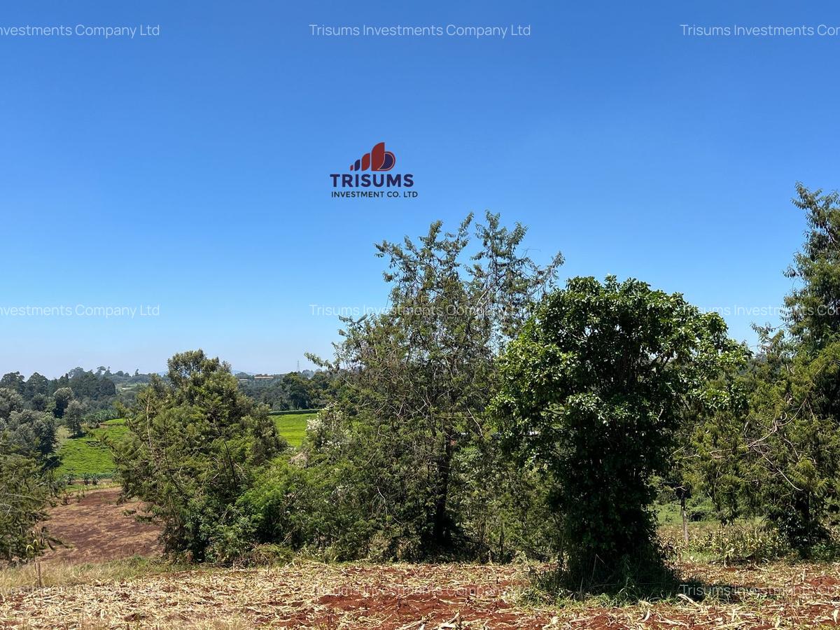 1.5 ac Land in Tigoni - 3