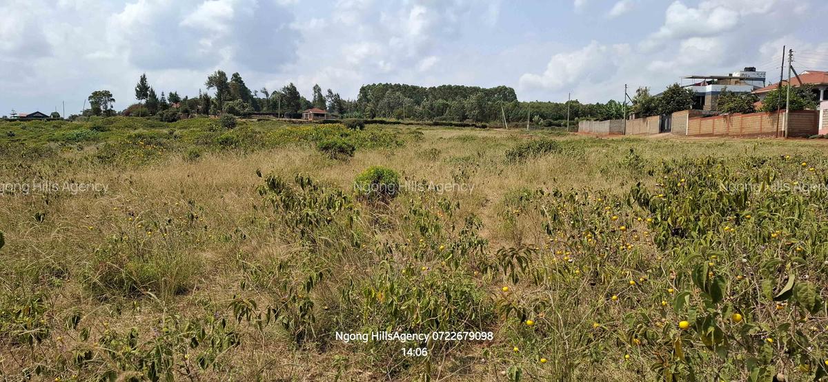 Land in Ngong - 5