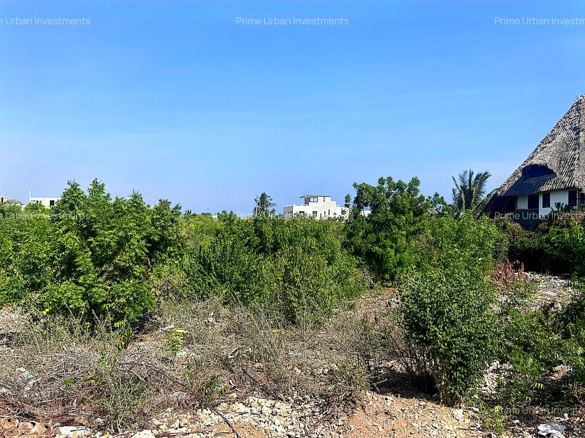 900 m² Land at Watamu 3Rd Row Beach - 8