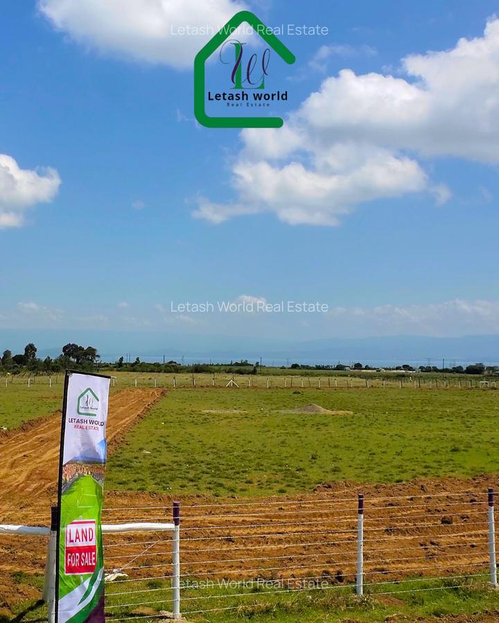 Residential Land in Naivasha - 5