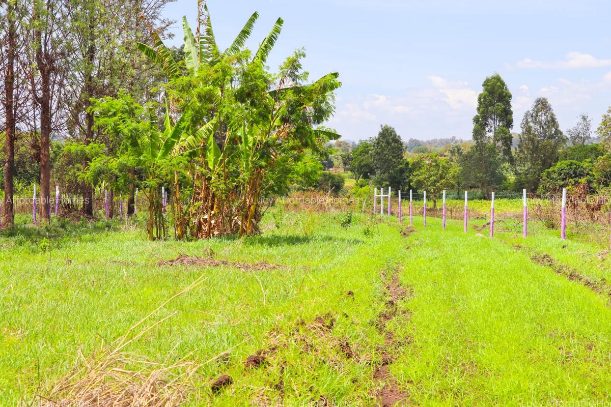 0.125 ac Land at Sagana - 2