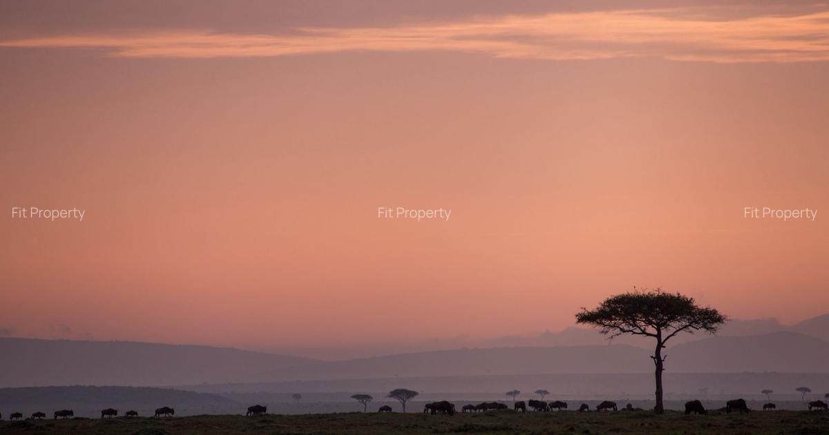 Commercial Property with Parking at Maasai Mara - 6