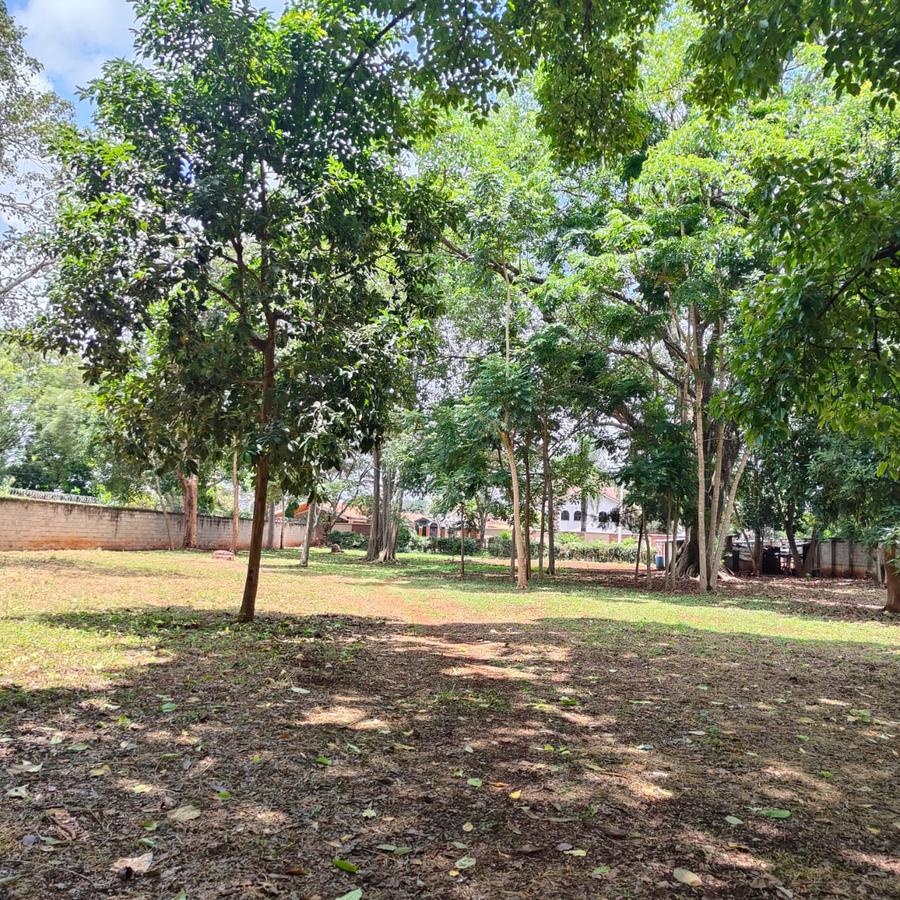 1 ac Land at Thigiri Ridge - 15